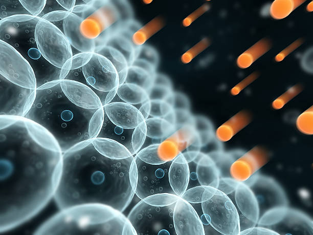 What is Oxidative Stress and Does Red Light Therapy Help?
